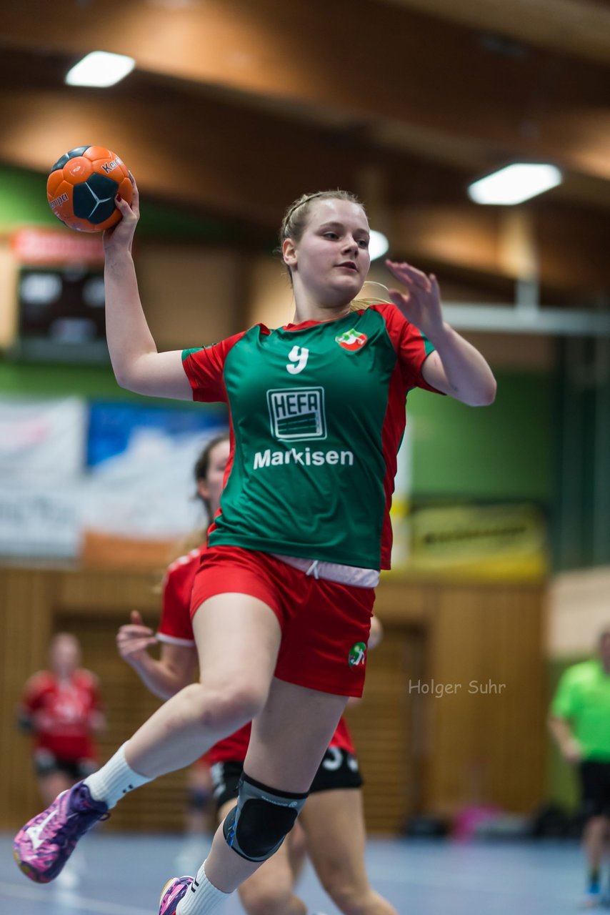 Bild 206 - Frauen HSG Krem/Muensterdorf - HG OKT 3 : Ergebnis: 33:21